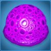 Purple Moon Coral